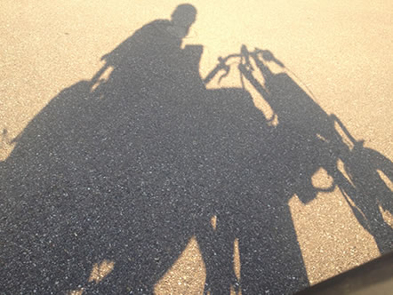 Schatten der Rollstuhl-Zughilfe Easy Rider